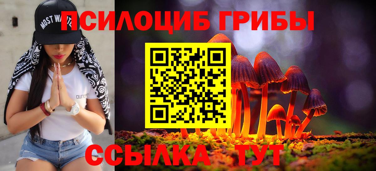 Псилоцибиновые грибы мухоморы  Псилоцибиновые грибы Cubensis  цены   Вход с VPN  Чистополь 